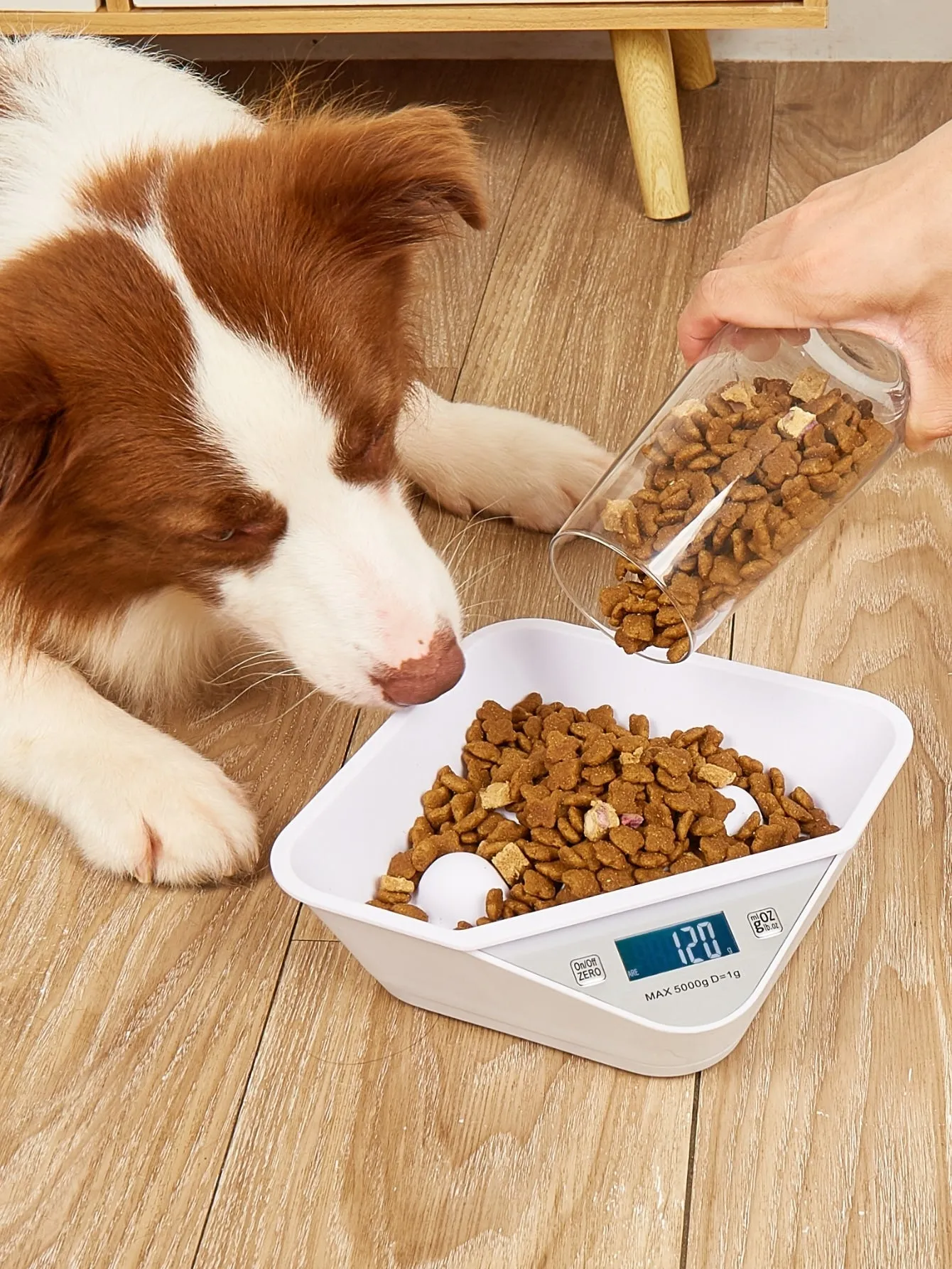 1pc Digital Scale Pet Slow Feeding Bowl