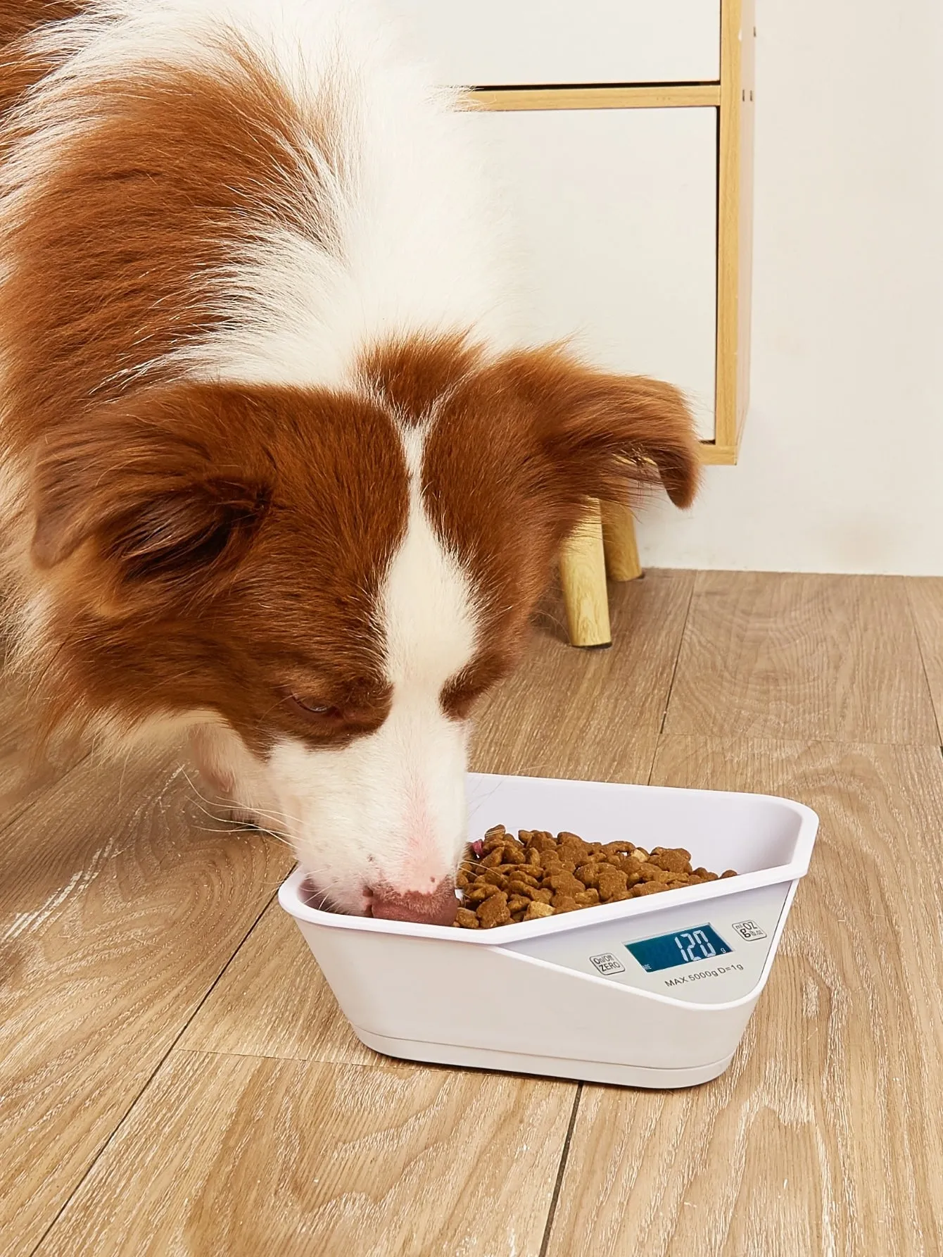 1pc Digital Scale Pet Slow Feeding Bowl