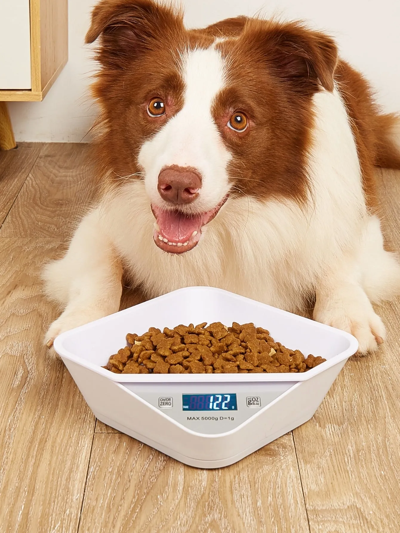 1pc Digital Scale Pet Slow Feeding Bowl