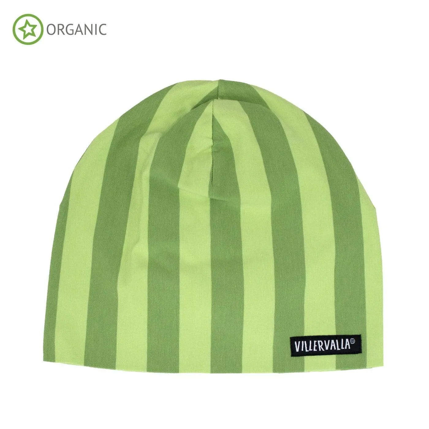 Beanie: Stripes Turtle