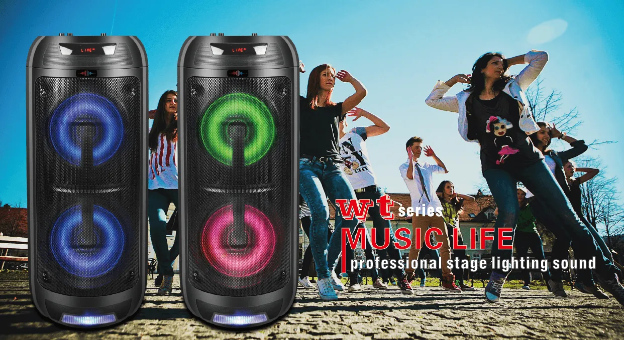 Bluetooth Double 8" Speaker With Led Display Screen, Mic Input & Rgb Light on the Woofer - Wattson