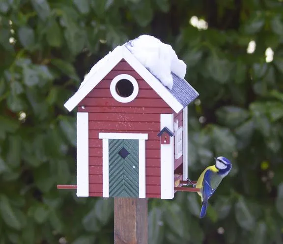 Combined Bird House and Bird Feeder Red Cottage