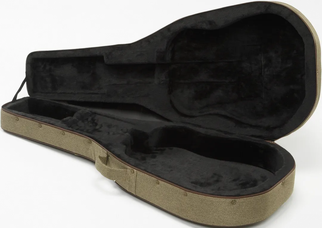 Ibanez FS40 DA Guitar Case for AW V PF PF1512 Models in Sage