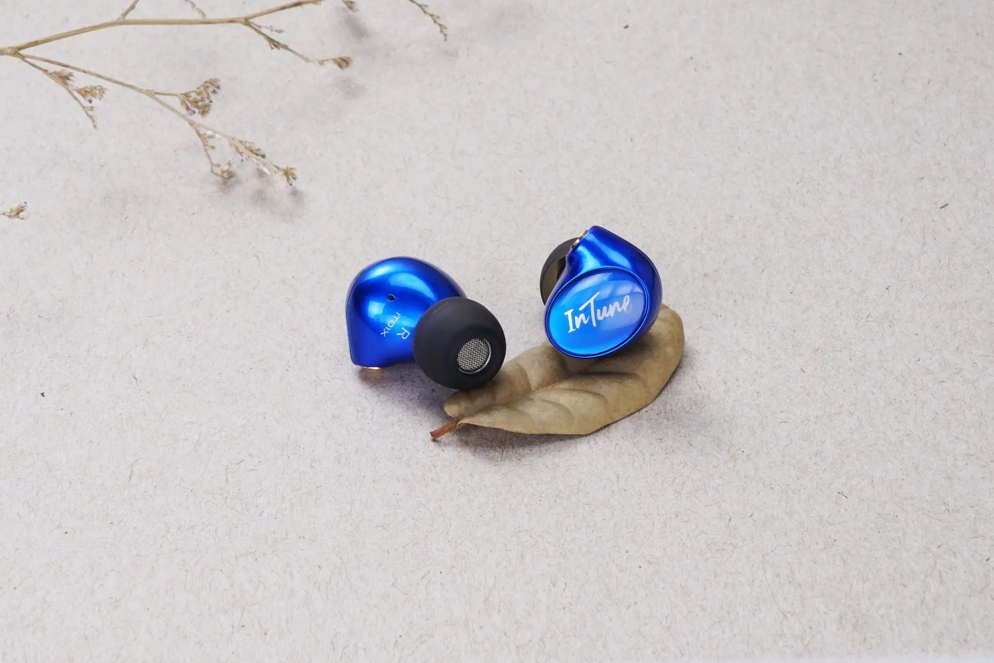 iBasso IT01X | Dynamic Universal IEMs