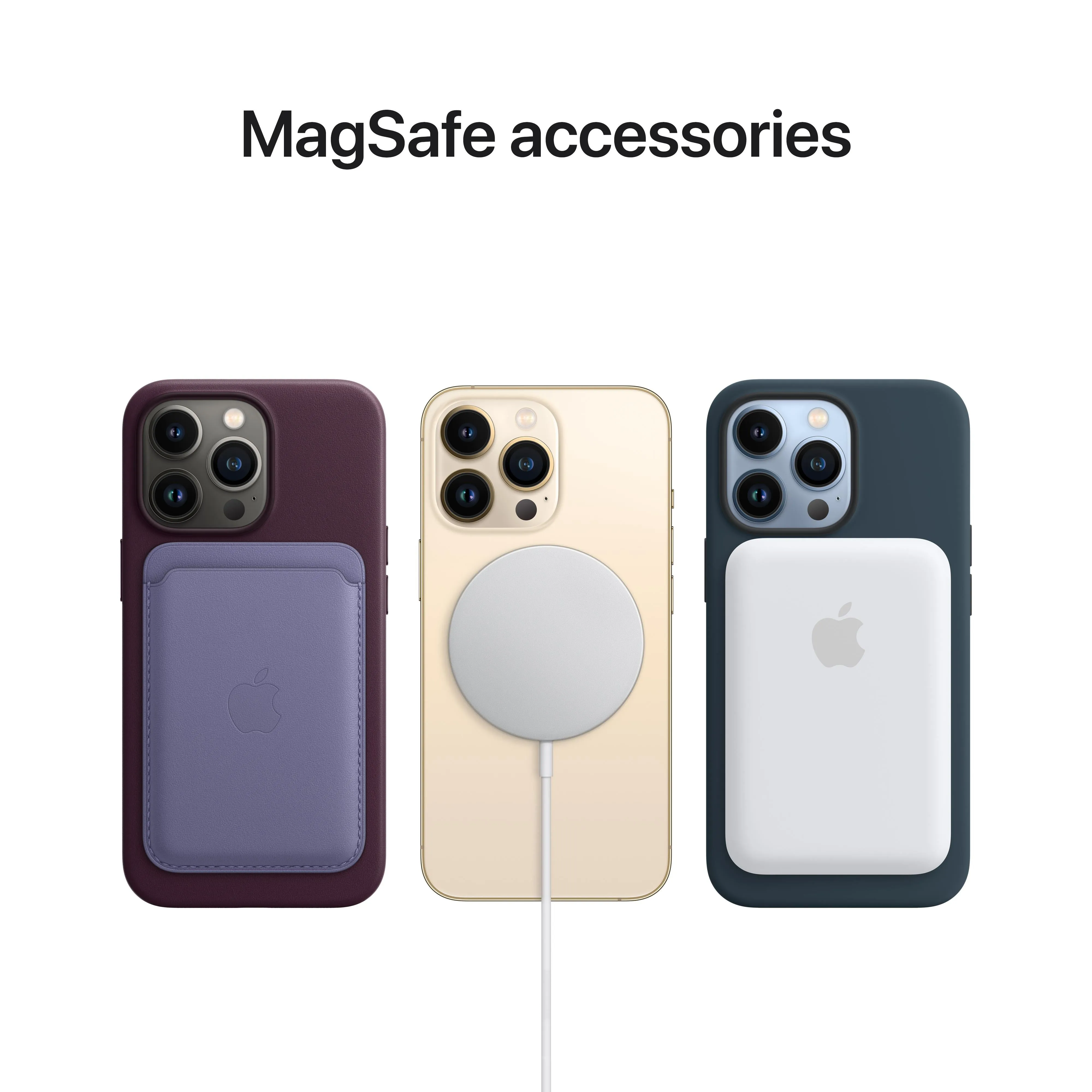 iPhone 13 Pro Max Silicone Case with MagSafe - Eucalyptus