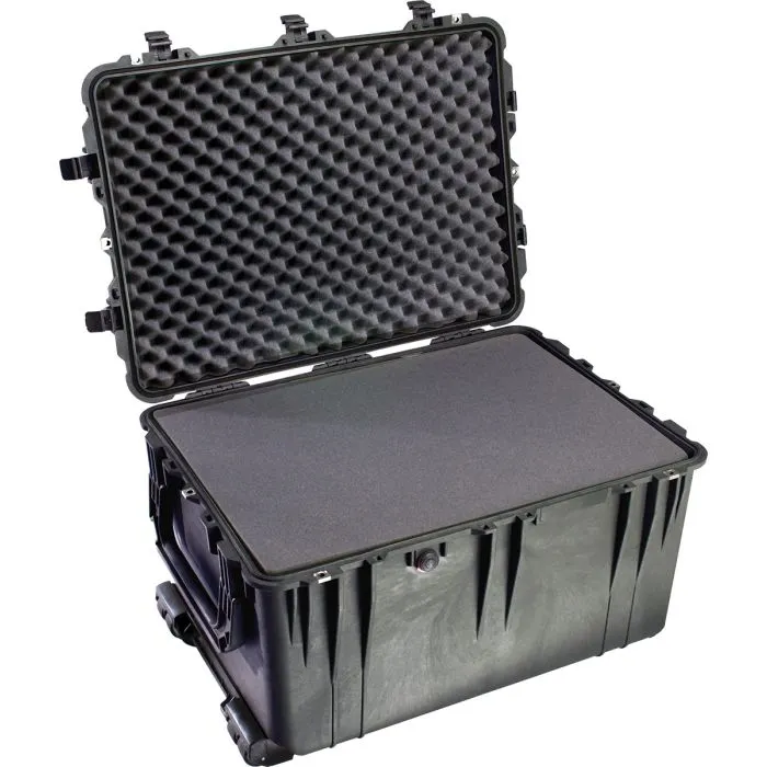 Pelican 1660-020-110 Protector Case, Black, 1 Each