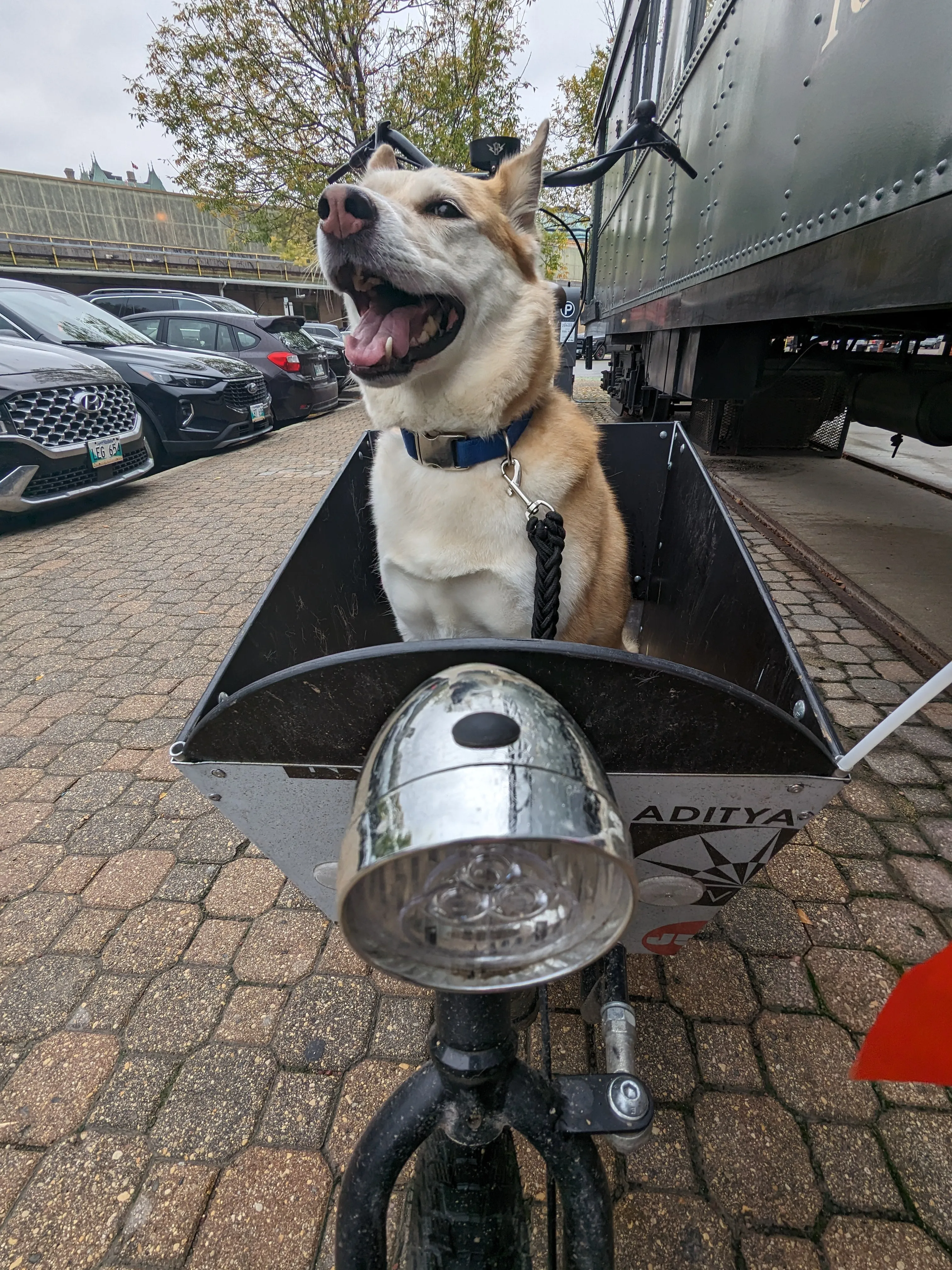 Retro Chrome Headlight