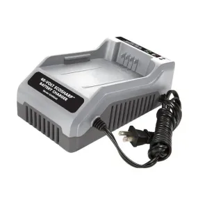 Snow Joe   Sun Joe CERTIFIED AUTHENTIC iCHRG40 EcoSharp® Lithium-Ion Battery Charger | 40 Volt