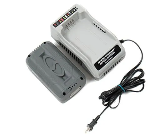 Snow Joe   Sun Joe CERTIFIED AUTHENTIC iCHRG40 EcoSharp® Lithium-Ion Battery Charger | 40 Volt