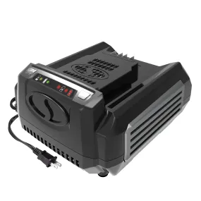 Snow Joe   Sun Joe CERTIFIED AUTHENTIC iON100V-RCH Rapid Charger for 100 Volt iON100V Series Tools