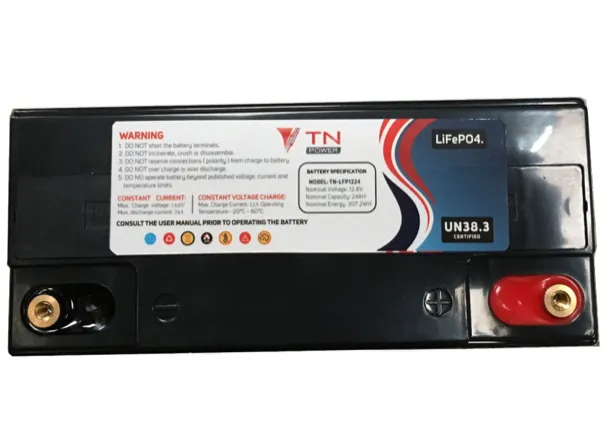 TN Power Lithium Iron Phosphate (LiFePO4) Battery - 12V 24AH